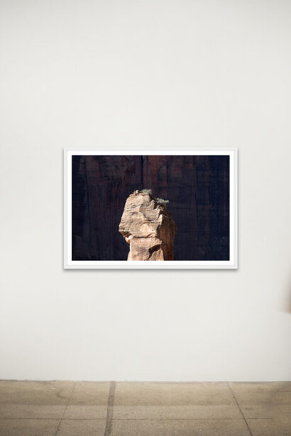 Sally Gall, Vertical world, exhibition view. Courtesy of Winston Wächter Fine Art 
