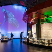 Great southern land, exhibition view. Courtesy of the National Museum of Australia