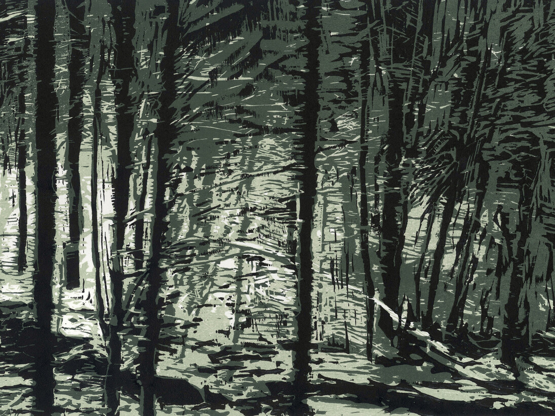 Border Thicket by Dermot Ryan