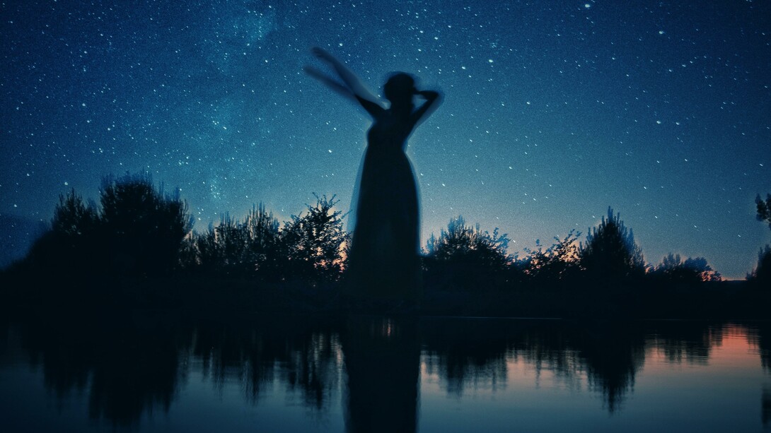 Sagoma di donna su uno sfondo di cielo stellato. «Sai cosa devi fare» disse la dea, ma quando mi girai non c’era nessuno, solo una piccola colomba bianca che beveva da quella stessa pozzanghera. La guardai e lei spiccò il volo