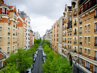 Un viale con alberi di età diversa a Parigi 