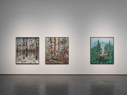 Philipp Fürhofer, Idyll and apocalypse, exhibition view. Courtesy of Galerie Judin 