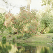 Elger Esser, Ninfa, ouia (Thyia), 2013. Copyright Elger Esser, Courtesy of Rosegallery 