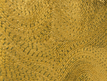 Olga de Amaral, Strata XI, 2008, Linen, gesso, acrylic and gold leaf, 47 ¼ x 27 ½ inches