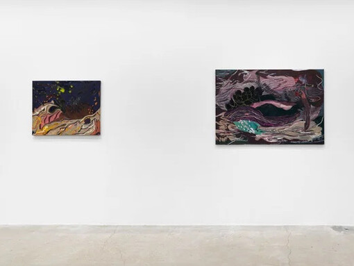 Cato Ouyang, Fernanda Galvão and Ren Light Pan, exhibition view. Courtesy of Lyles & King