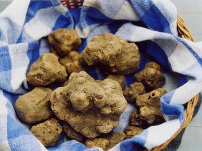 Una pregiata scelta di tartufi bianchi