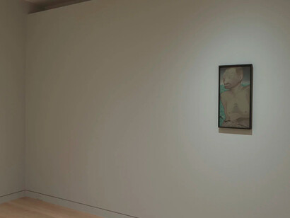 Hao Liang, Portraits and Wonders Installation View, 2018
