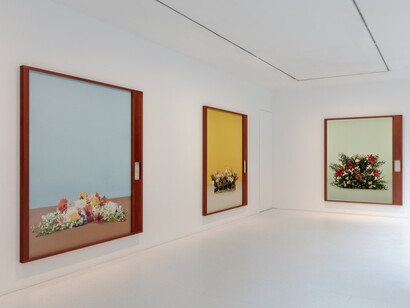 A Burn Scar Visible from Space. Courtesy of Gagosian Gallery