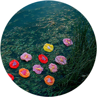 Nympheas #30 (2007) by Goldschmied & Chiari_© Goldschmied & Chiari