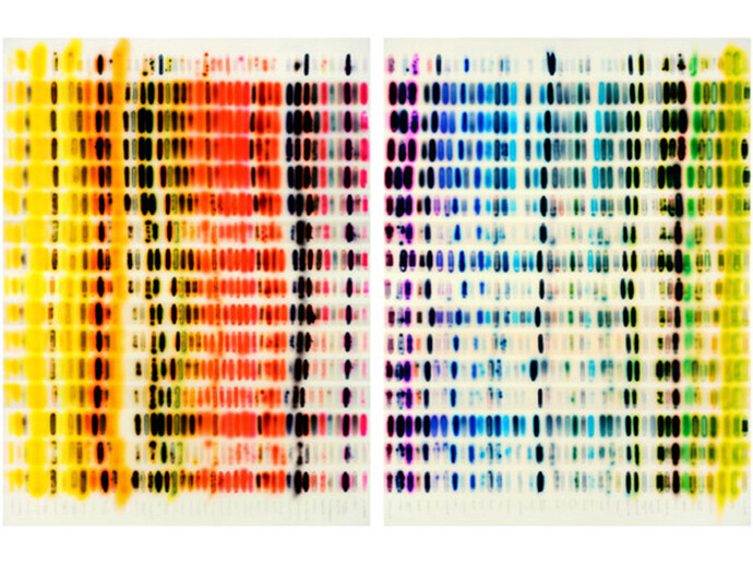 Jaq Chartier, Spectrum Chart - Warm Color vs. Cool Colors, 2015, Acrylic resin, stains, spray paint on wood panel, 40 x 61 inches