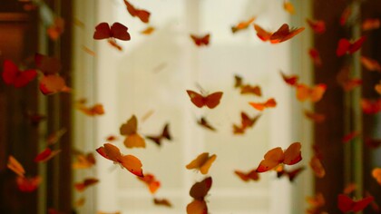 A vida alimenta a ficção e a ficção cria realidades através das palavras