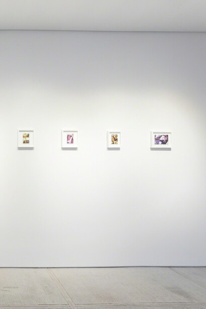 Pareidolia. Courtesy of Totah 