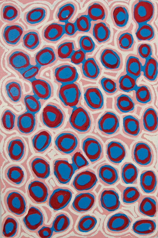 Alice Nampitjinpa, Takupalangu, Acrylic on Canvas, 80x120cm