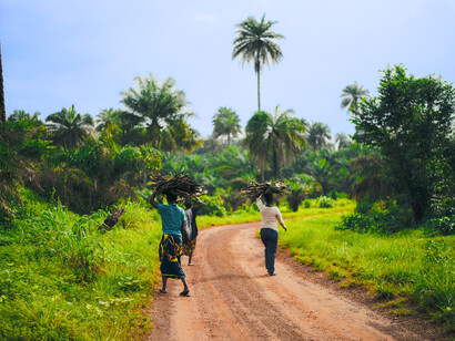 Pendant que les élites se disputent le pouvoir, les populations rurales poursuivent leur quotidien, loin des palais présidentiels mais au cœur des conséquences de l’instabilité politique