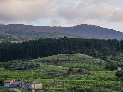 Guardiola, Altamora
