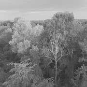 Last Whispers. Courtesy of George Eastman Museum