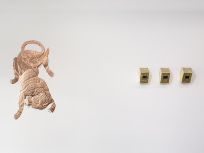Bekhbaatar Enkhtur, Tinct, exhibition view. Courtesy of Galeria Pedro Cera