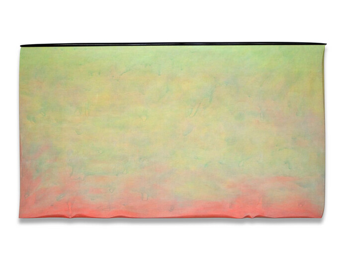 Robert Yasuda, Origins, 2013, acrylic on fabric on wood, 36 x 64 inches/91.4 x 162.6 cm