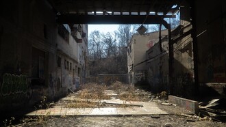 Todos somos Weener. La sentencia que abre el libro es una mirada escéptica sobre la naturaleza humana