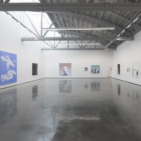 Tala Madani, Control X, exhibition view. Courtesy of David Kordansky Gallery
