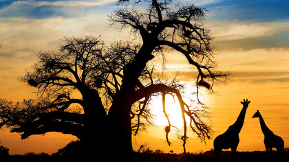 Tramonto in Sud Africa