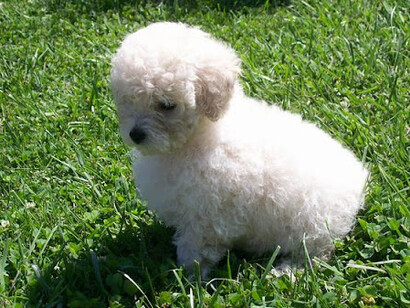 ¿Muerta o asesinada? tendrá que confirmarlo la policía científica