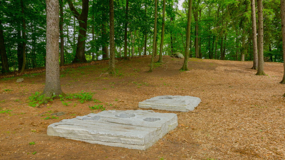 Esther Kläs, Ferma. Courtesy of DeCordova Sculpture Park and Museum