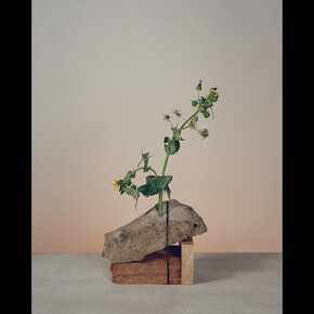 Hardly Together. Courtesy of Fisher Parrish Gallery