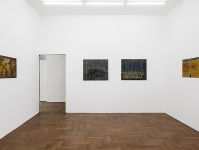 Carla Grunauer, Lumbres, exhibition view. Courtesy of Piedras Gallery