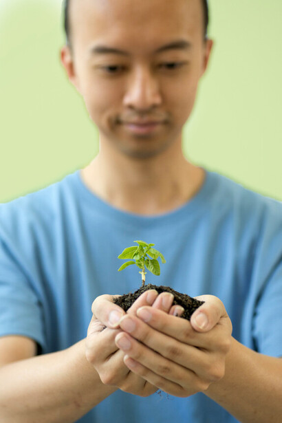 Plant growing and representing resilience in the face of likely failure