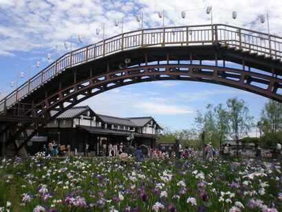 Suigo Itako Ayame Festival © VisitItako