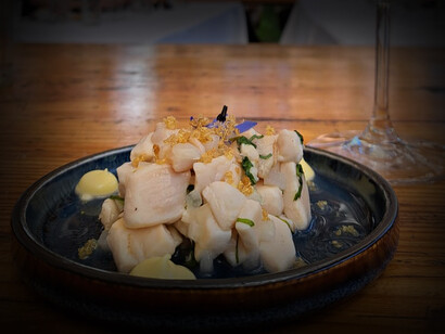Ceviche de chochas, en Fuente Tscana, un molusco de la Región de Coquimbo con un sabor similar al ostión y al loco
