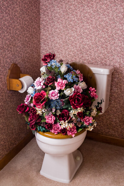 Brooke DiDonato. Nature's Call
