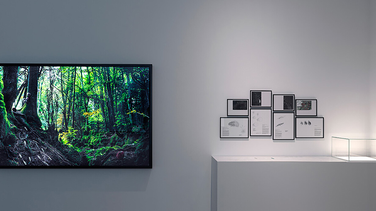 Clouds ⇄ Forests. Courtesy of Tretyakov Gallery