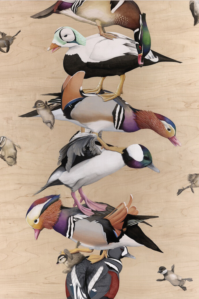 Tiffany Bozic, Ducks in a Row, Acrylic on maple panel, 2014, 45 x 32 inches