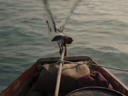 Gaviotas que son esenciales para distribuir noticias por todo el mundo, entregando información crucial, como carteles de recompensa 