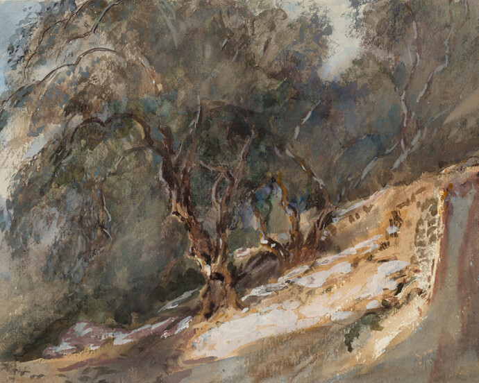 Trees with knotty trunk, not dated. Barbara Leigh Smith Bodichon (1827–1891). Watercolor on paper, 14 3/4 × 8 13/16 inches. Delaware Art Museum, Acquisition Fund, 2017.
