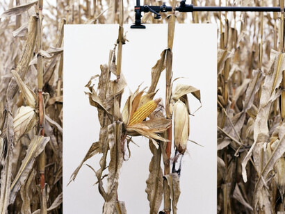Deutsche Börse Photography Foundation Prize 2018. Courtesy of MMK3