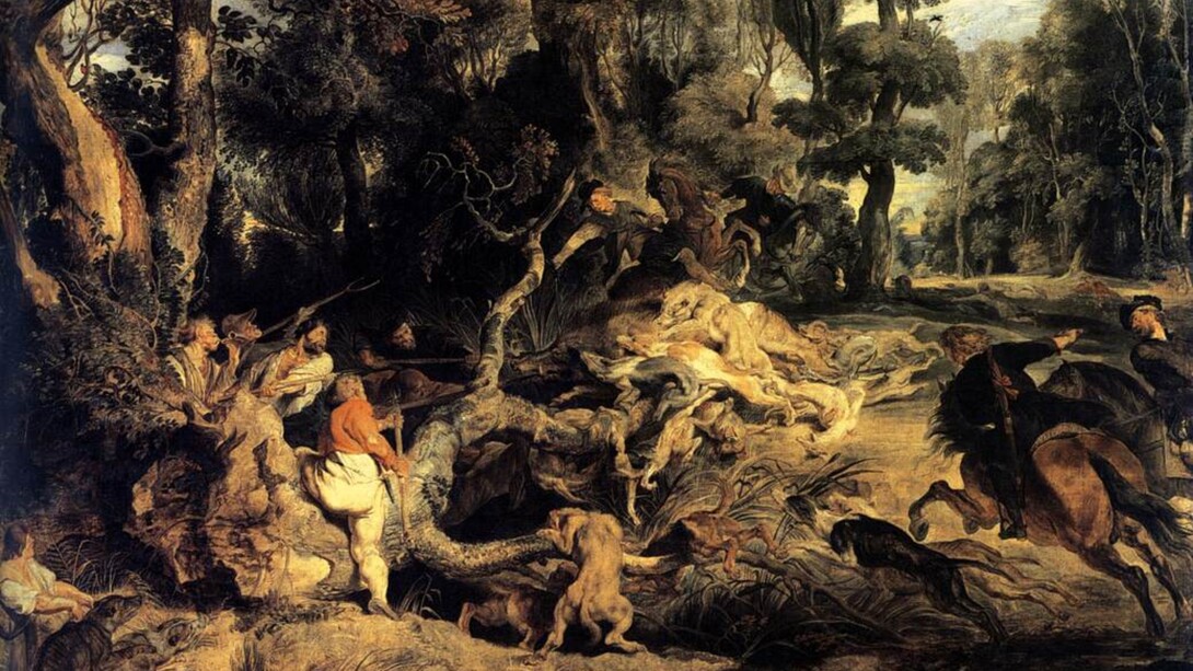 La caccia appare come una pratica violenta e anacronistica, in cui l’uomo, armato e organizzato, rompe un equilibrio naturale che un tempo era fondato sul confronto e sulla reciprocità. Peter Paul Rubens, Veduta con caccia al cinghiale, Gemäldegalerie Alte Meister, Dresda, Germania