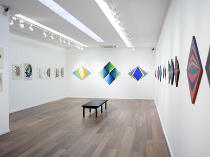 Hércules Barsotti, Exhibition view. Courtesy of Galeria Frente