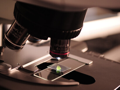 Microscope. Le microscope de l’époque offre déjà des agrandissements permettant de voir les cellules de la biologie moderne, mais personne ne comprend ce que l’on voit sous l’oculaire