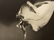 Various artists, Photographer as sculptor, sculptor as photographer, photography in exhibition. Courtesy of Bruce Silverstein Gallery