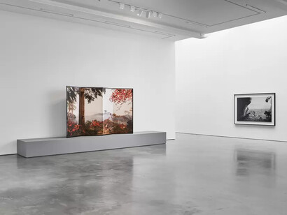 Hiroshi Sugimoto, Unnatural habitat, exhibition view. Courtesy of Lisson Gallery