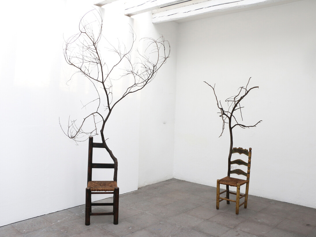 Obra de Maximo Gonzales en Galeria de Arte Contemporaneo de Xalapa