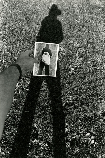 Picture Fiction. Courtesy of Museum of Contemporary Art