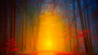 Amanecer de sol y corazón