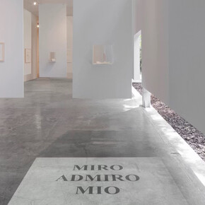 Luis Camnitzer, Una que cubre la palabra que la nombra, vista de exhibición. Cortesía de la Galería Labor