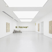 Symbiotic friend, exhibition view. Courtesy of Hive Center for Contemporary Art