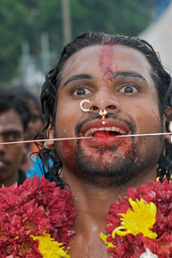 Thaipusam Festival