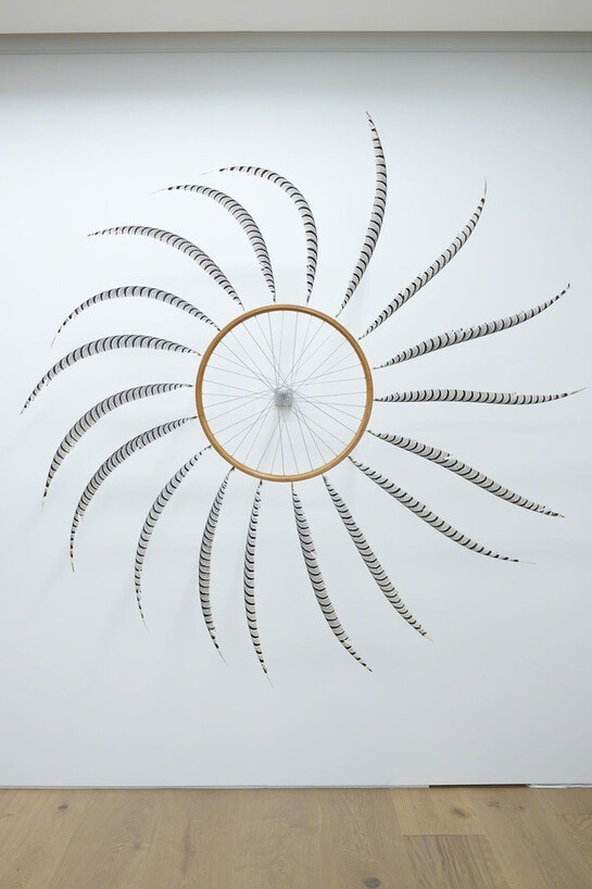 Paola Pivi. Courtesy of Perrotin